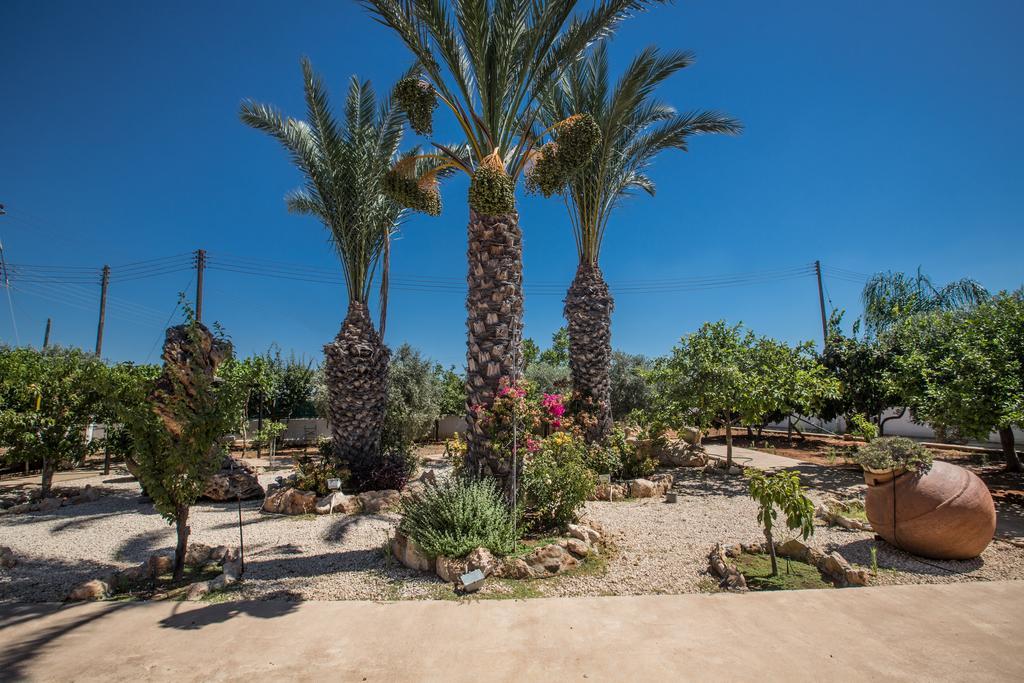 Papas Family Villa Paralimni Buitenkant foto